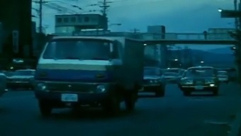 Vintage Japanese Travelogue: A Classic Journey Through Japan