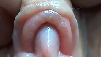 Intense Close-Up Of Nektiyaaslam'S Masturbation Session