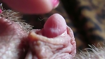 Intense Close-Up Of My Swollen Clitoris Tip Throbbing